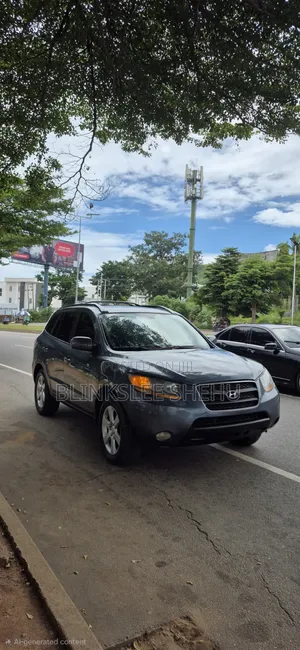 Hyundai Tucson 2011 Gray