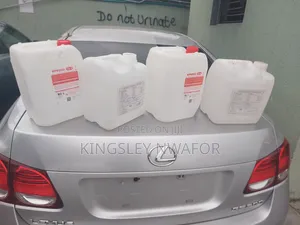 10 Litres Gallons