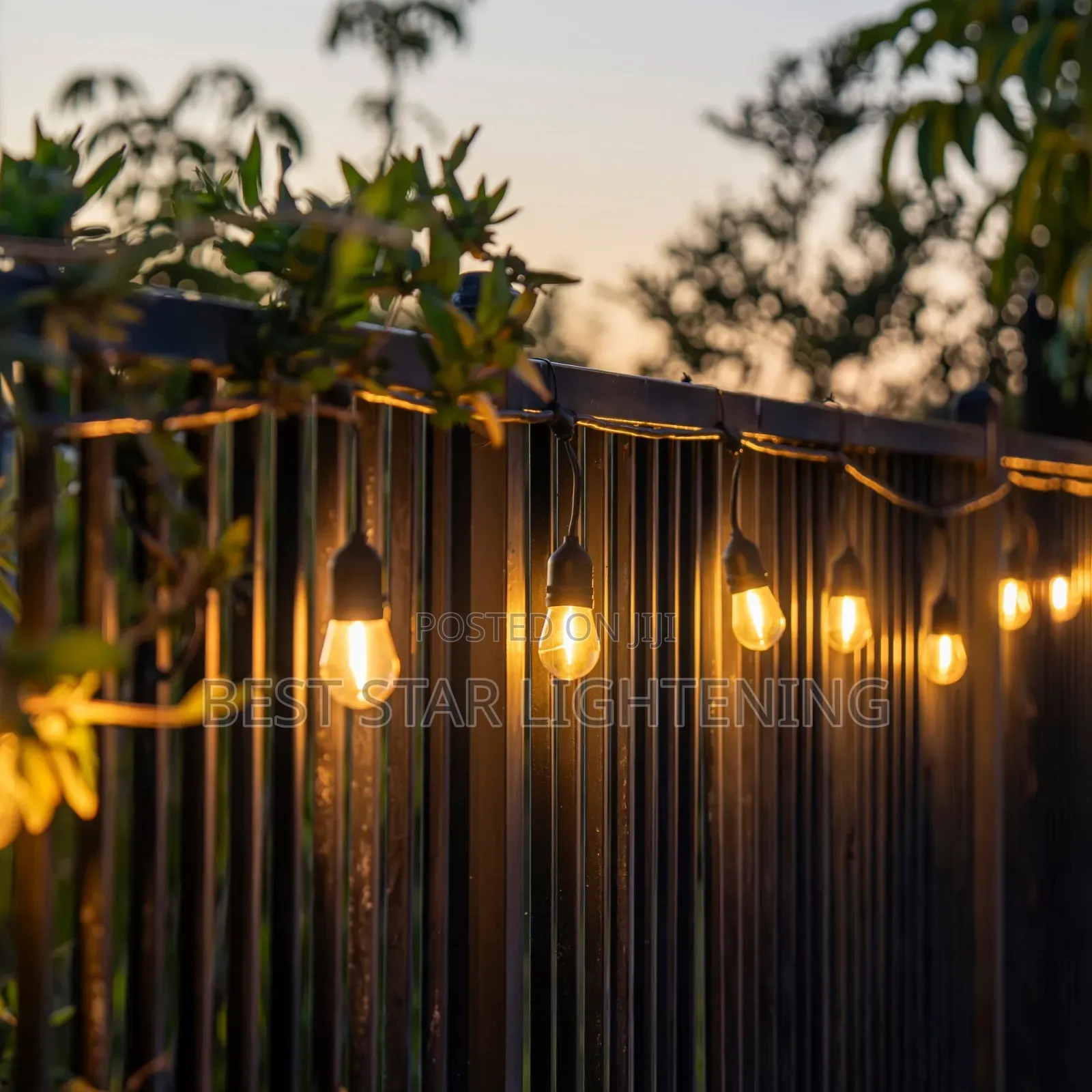 String Light