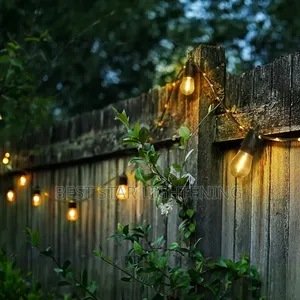 String Light