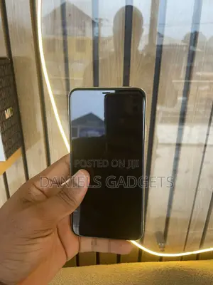 Apple iPhone 11 Pro Max 256 GB Gray