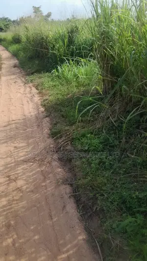 Affordable Land at Alapako Village, Free From Acquisition!