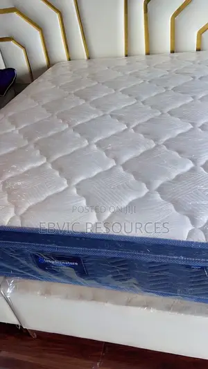 Imported Memory Spring Mattress.