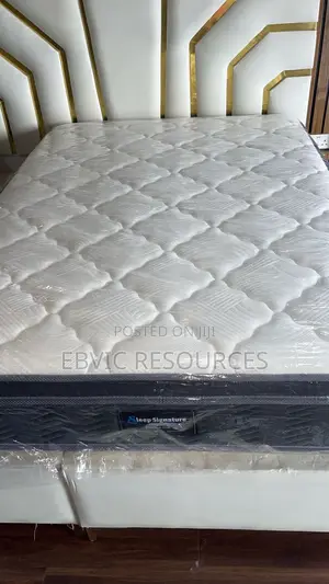 Imported Memory Spring Mattress.