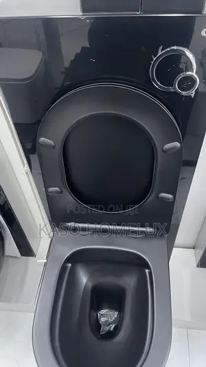 Executive Surface Wc