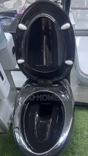 Egg Shaped Conceal Wc