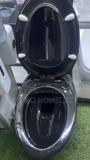 Egg Shaped Conceal Wc