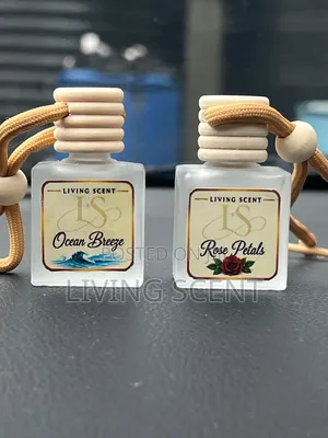 10ml Hanging Car Diffuser