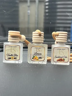 10ml Hanging Car Diffuser
