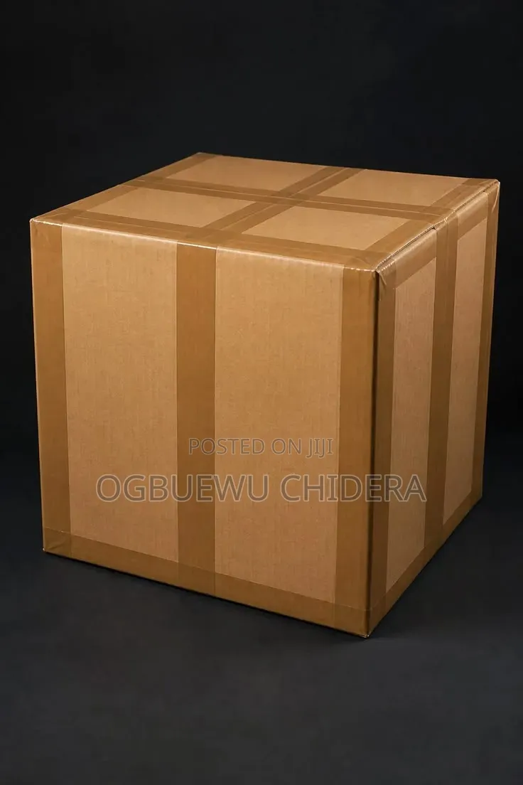Professional Moving Carton