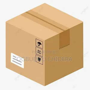 Professional Moving Carton