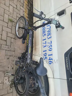 No Need for Fuel Anymore Electronic Bike for Sale