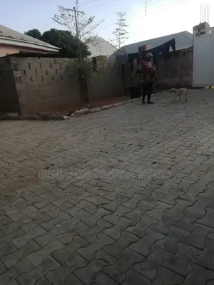 Professional Cleaner