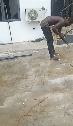 Professional Cleaner