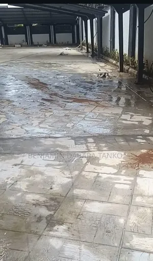 Professional Cleaner