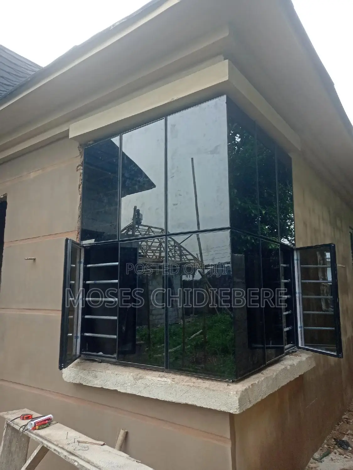 Transom/Structural Windows