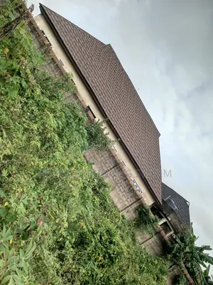High Quality Tiger Shingles New-Zealand