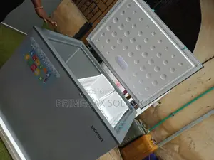 SKYRUN 260A FREEZER - Perfect for Families, Perfect for Business