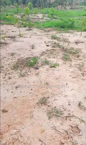 350sqm Estate Land for 4 Bedroom Semi Detached Penthouse+BQ With CofO