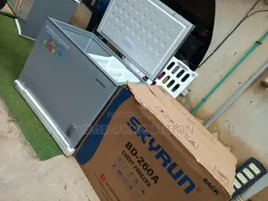 SKYRUN 260 Litres of Organized, Frozen Freedom