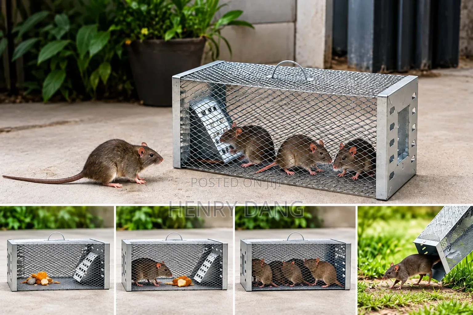 Automatic Rat Mouse Trap Cage–Reusable Multi– Catch