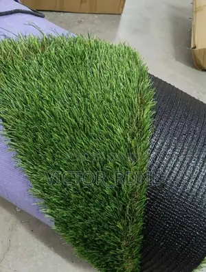 Carpet Grass With Delivery