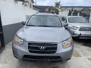 Hyundai Santa Fe 2008 Gray
