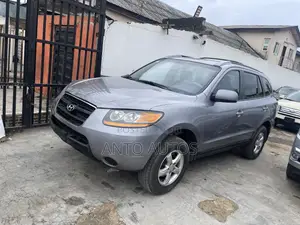 Hyundai Santa Fe 2008 Gray