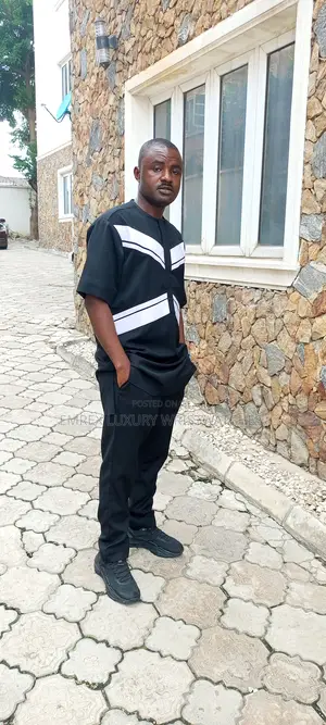 Professional Private Driver