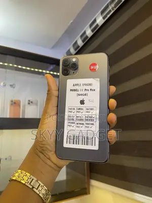 Apple iPhone 11 Pro Max 64 GB Gray