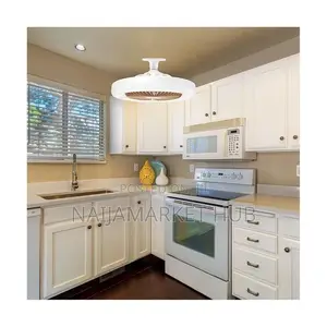 3 in 1 Smart Aromatherapy Fan Light With Remote Control