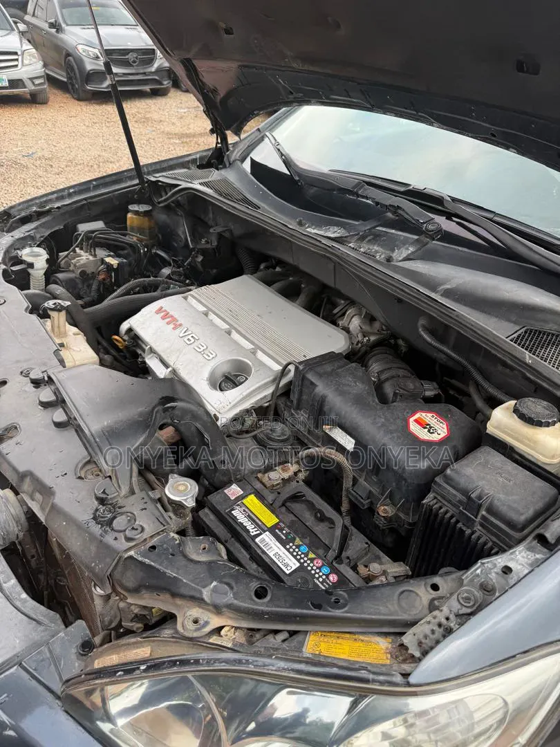 Lexus RX 2006 Gray