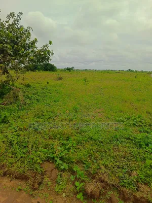 2 Plots of Land Facing Isiun Road