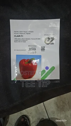 Clair F1 Bell Pepper Seed