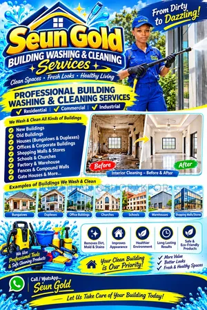 Seun Gold – Professional Building Washing Cleaning