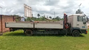 Truck Hiab Trunk.