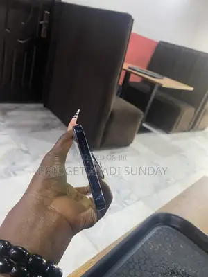 Apple iPhone 12 Pro Max 256 GB Blue