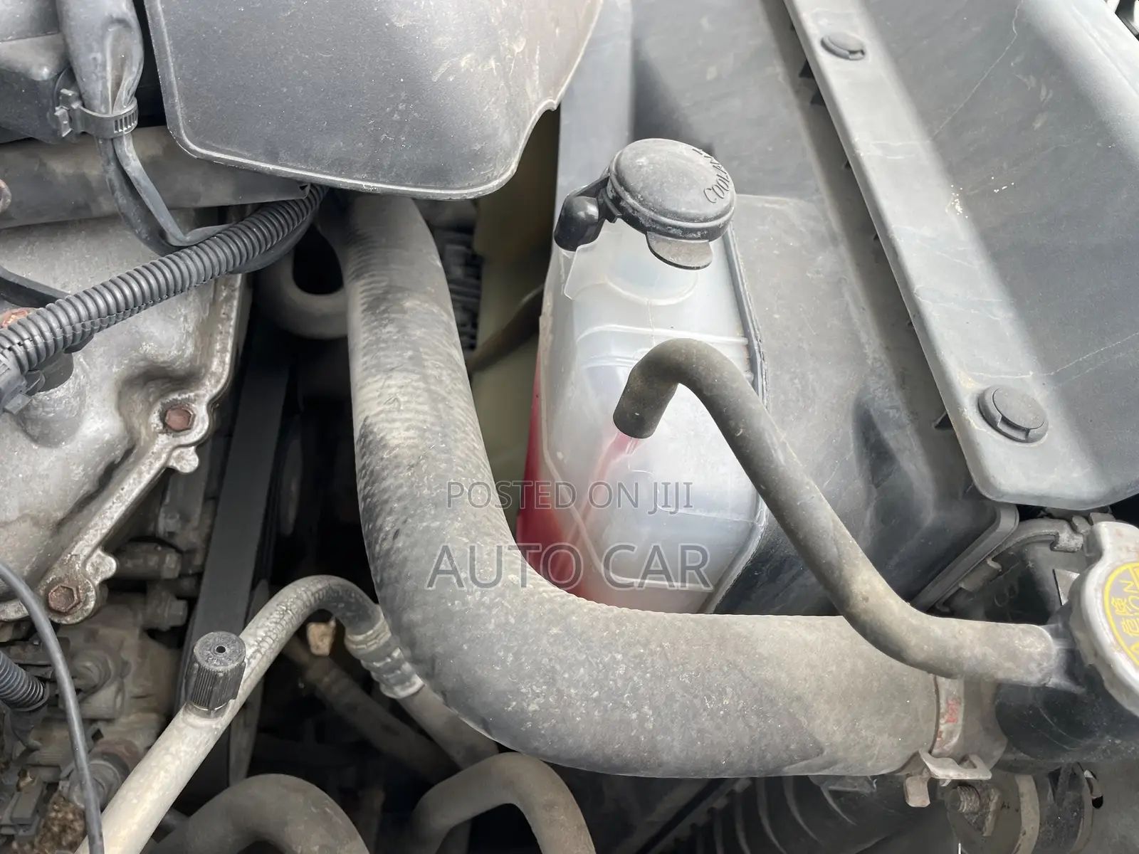 Toyota Tacoma 2008 White