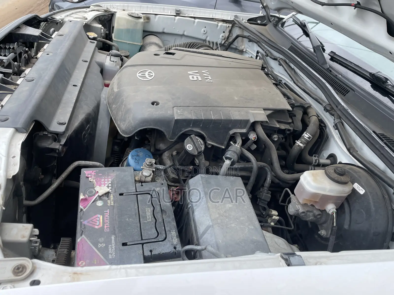 Toyota Tacoma 2008 White