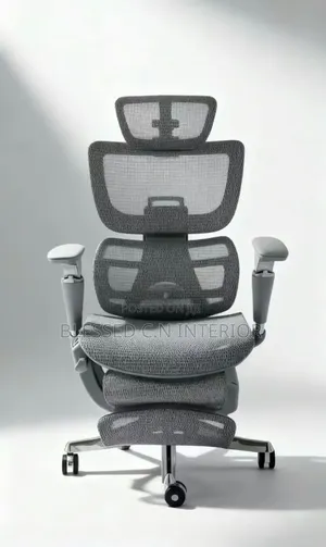 Ergonomic Office Chair