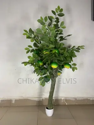 Orange Tree