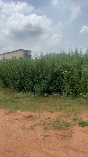 Estate Plot