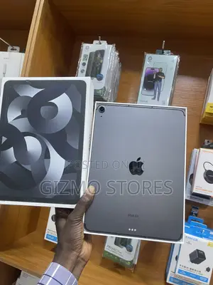 Apple iPad (2022) 256 GB Gray