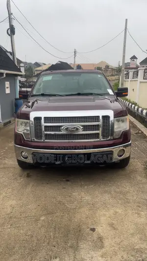 Ford F-150 SuperCrew 2008 Brown