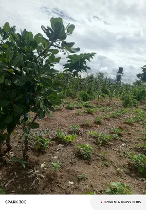 Land for Sale