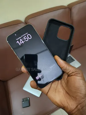 Apple iPhone 15 Pro Max 256 GB Silver