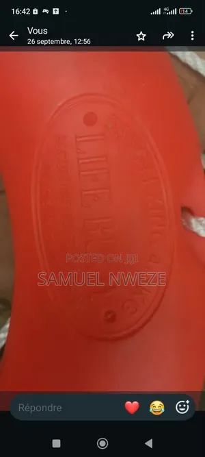 Life Buoy 4.3kg