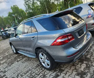 Mercedes-Benz M Class 2015 Gray