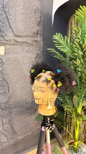 Human Hair Glueless Wig
