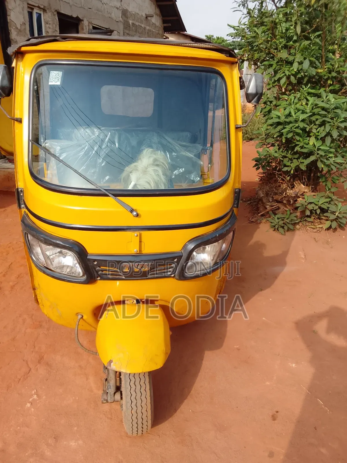 Tricycle 2024 Yellow